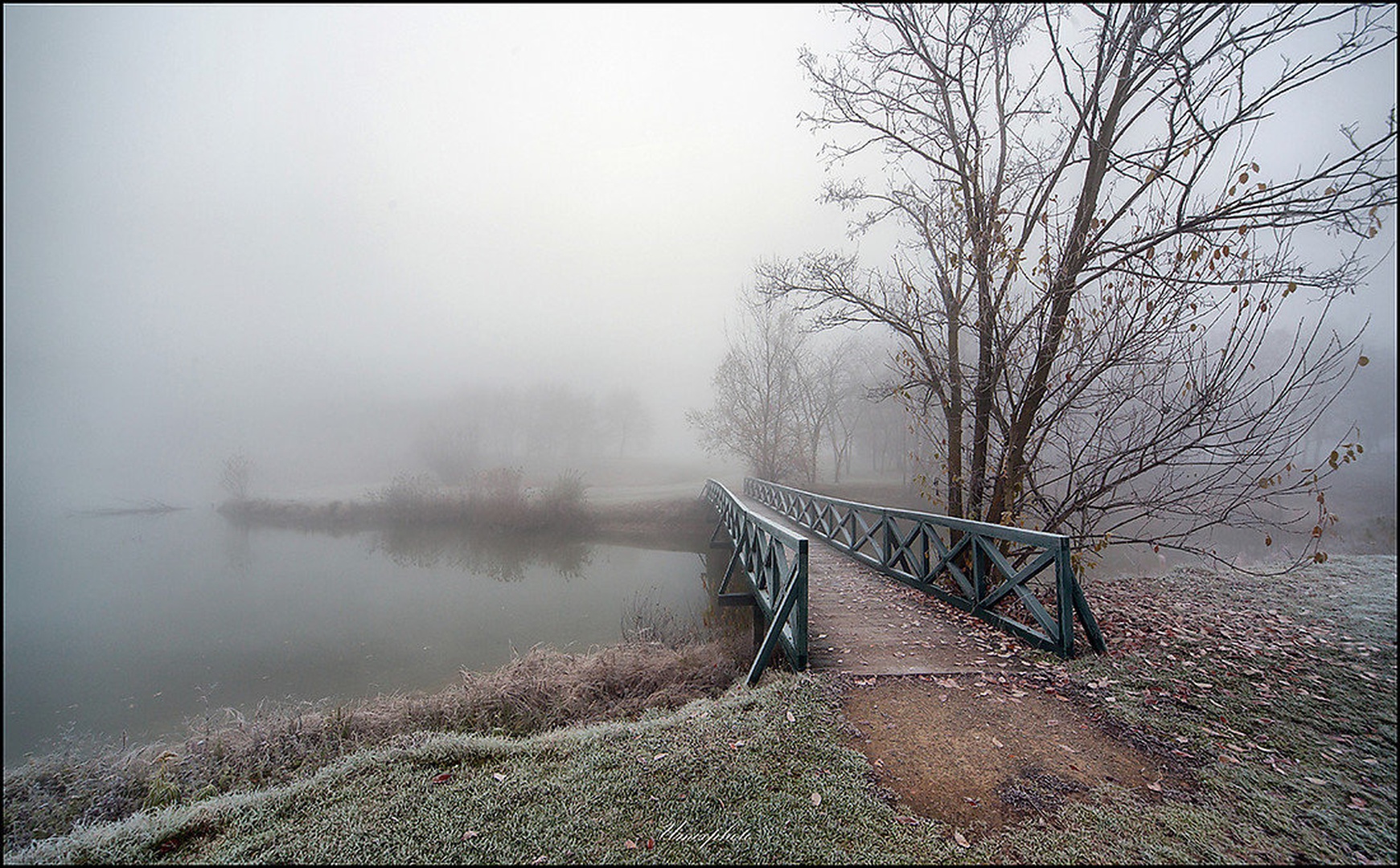 Bridge by umix