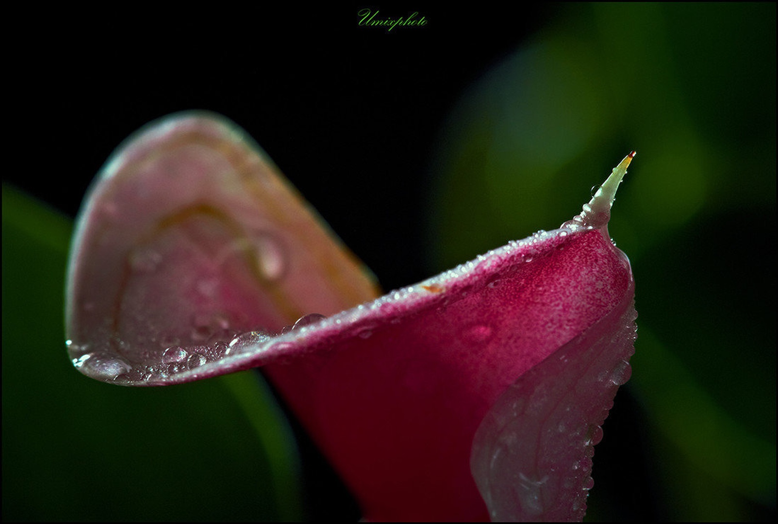 Drops by umix