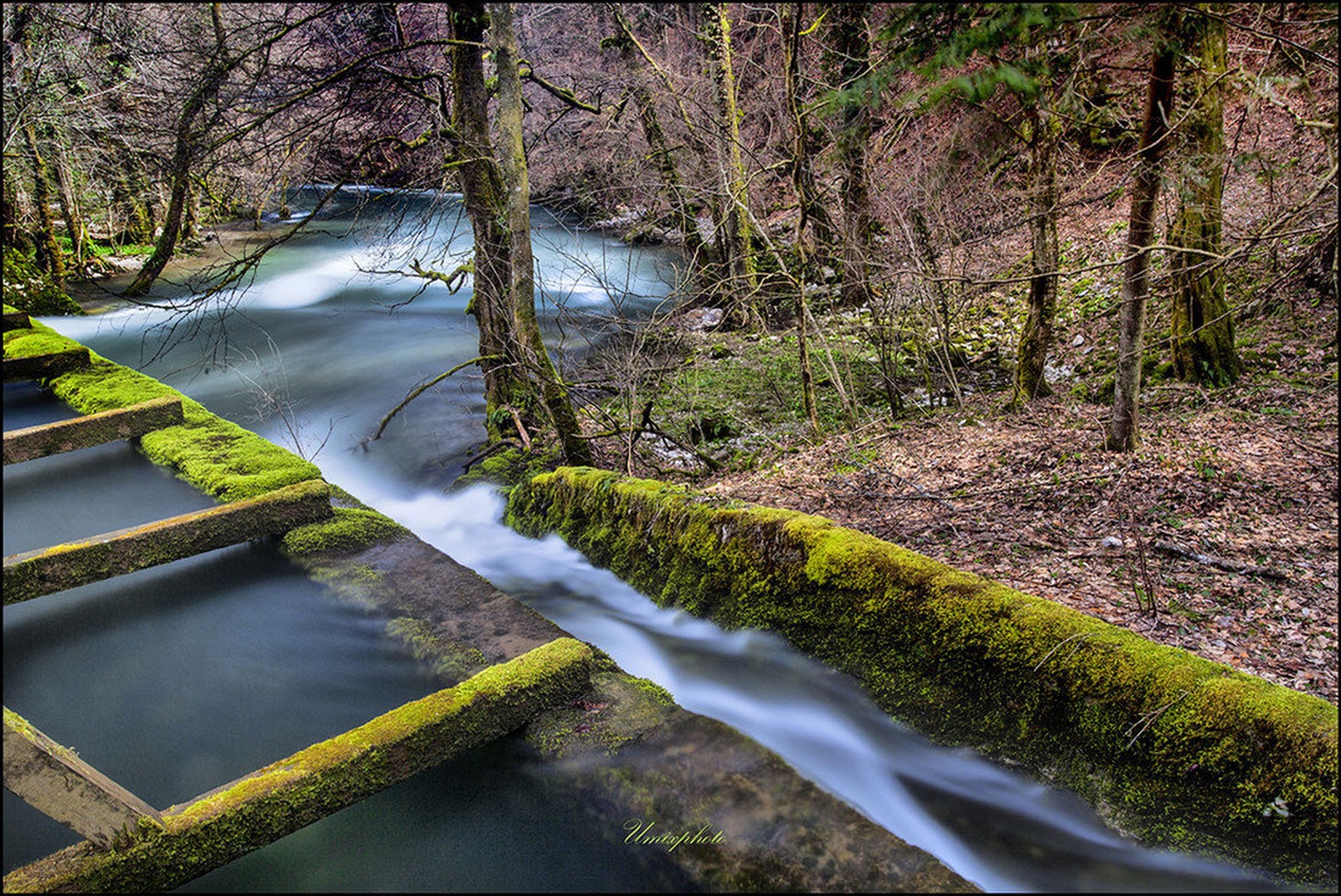Struga by umix