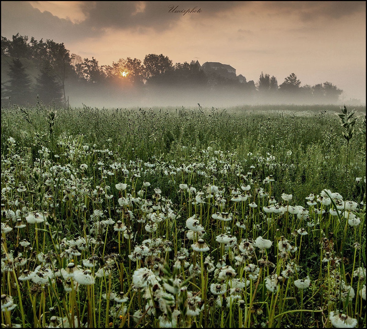 Jutro pod ptujskim gradom by umix