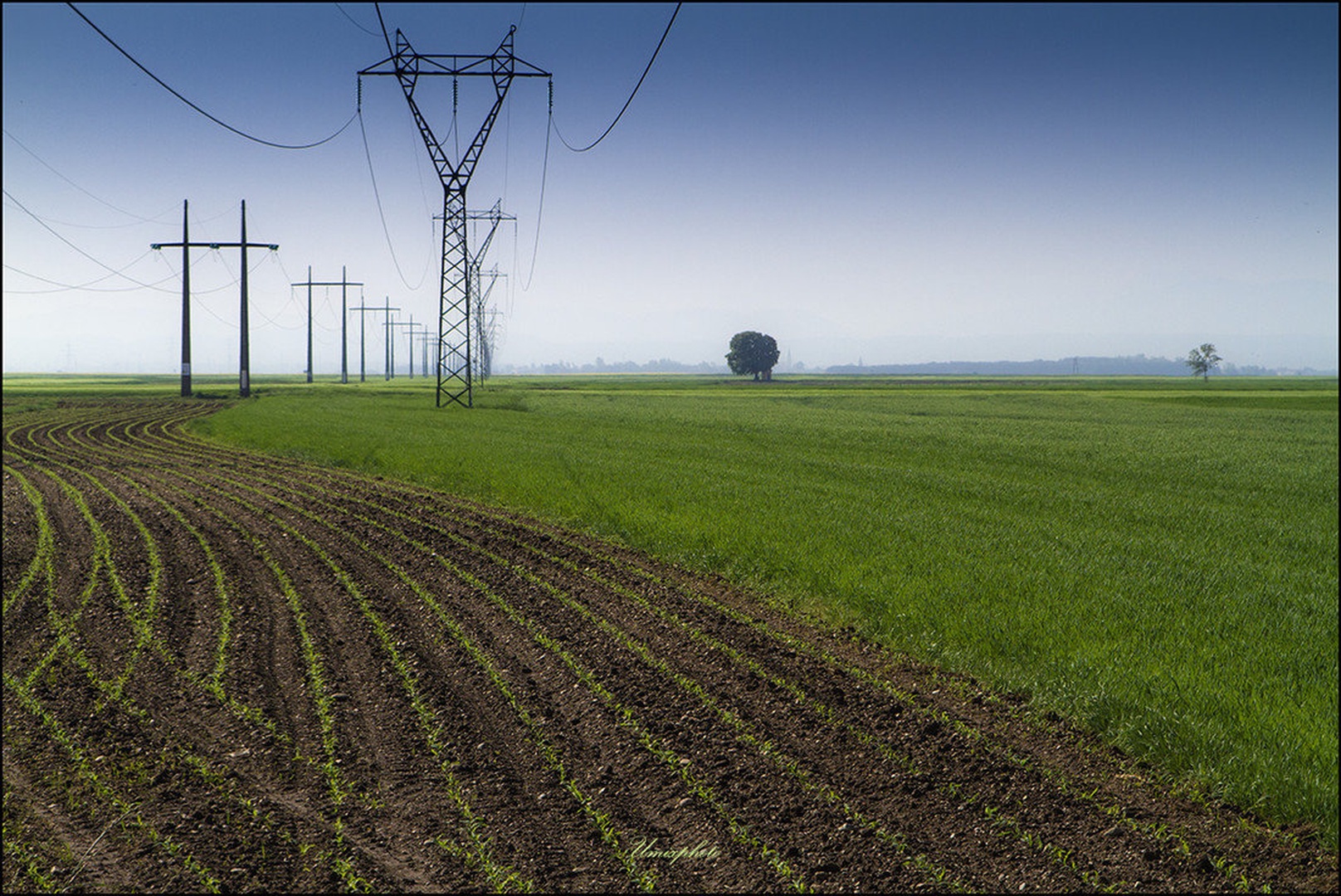 Green Lines I. by umix