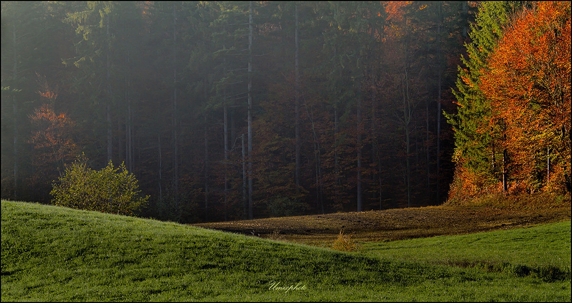 Jesensko jutro by umix