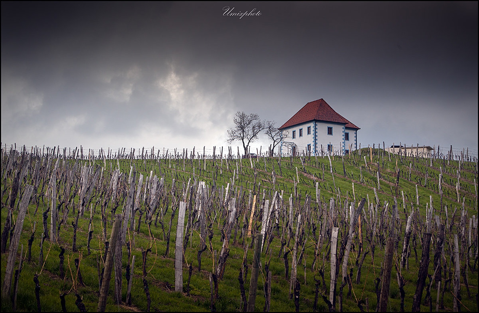 Jesen v vinogradu by umix