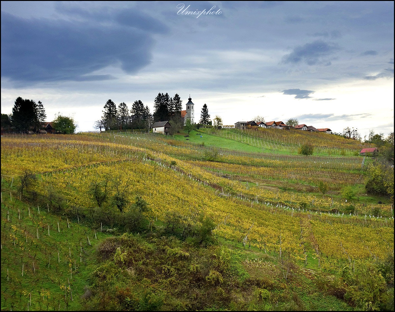 V lendavskih goricah I. by umix