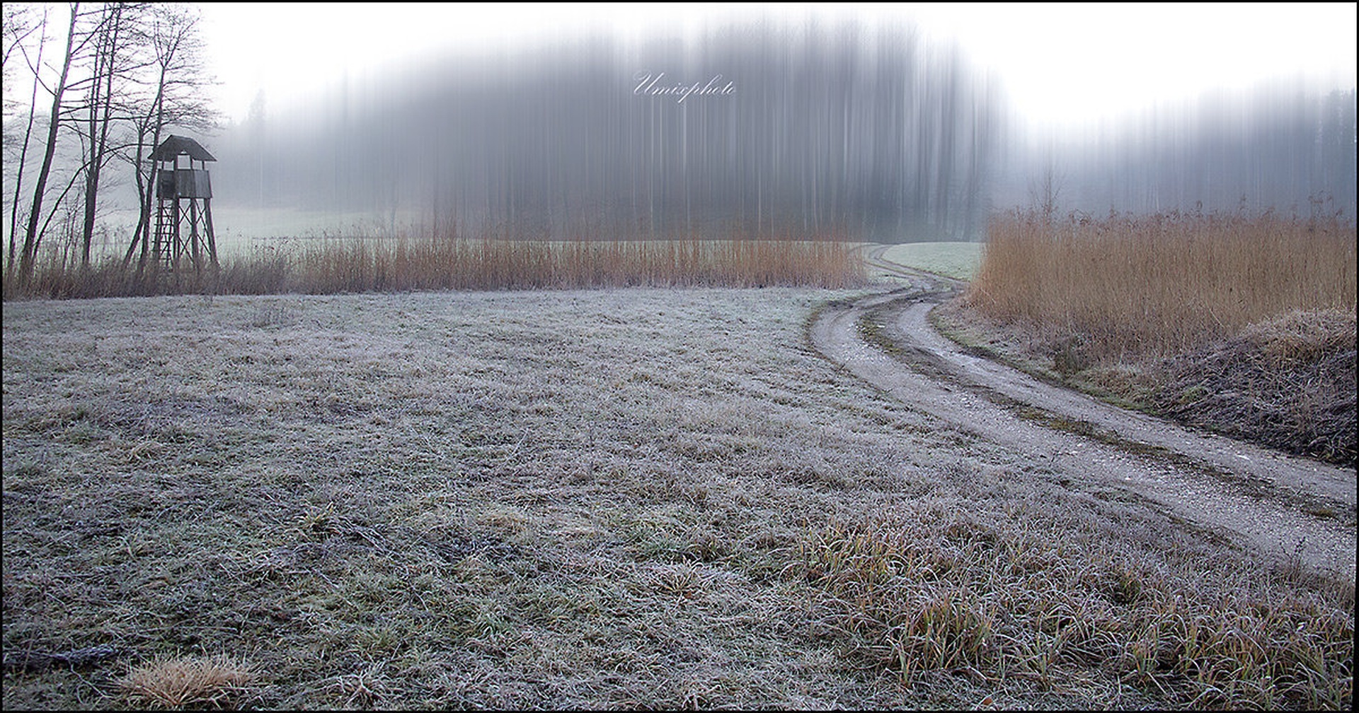 Pot v hladno jutro by umix