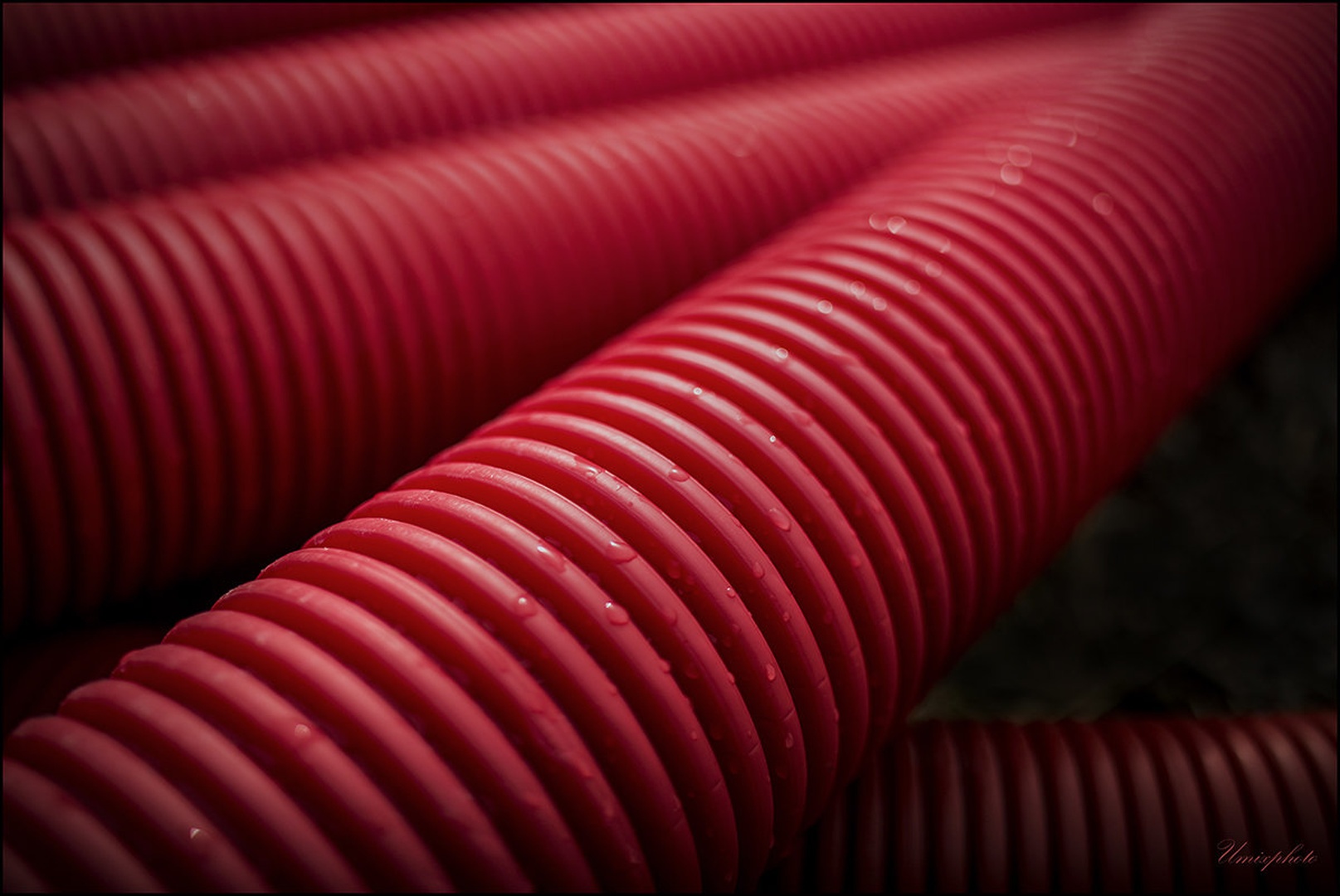 Red Lines by umix