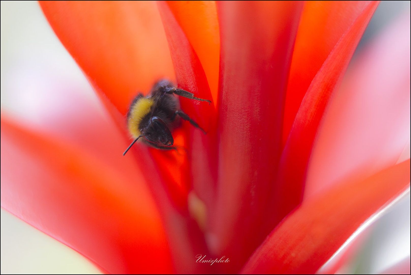 Počitek by umix