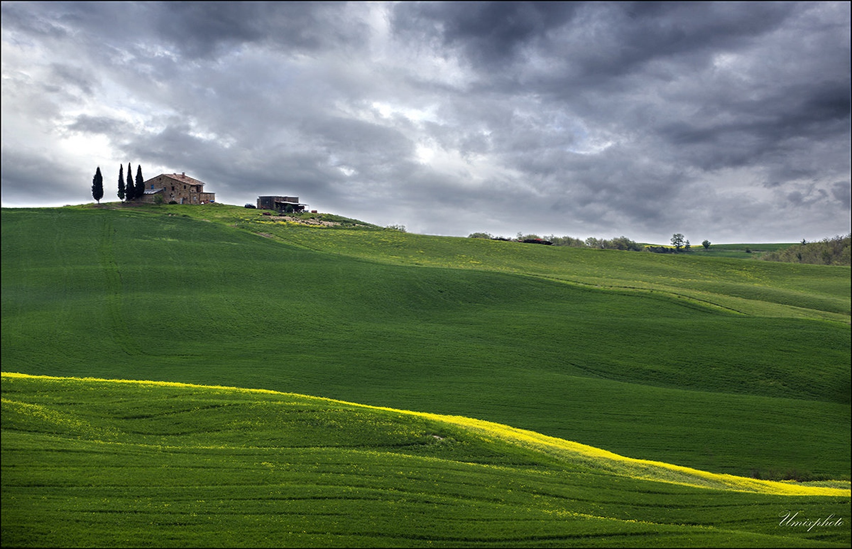 Toskanske linije II. by umix