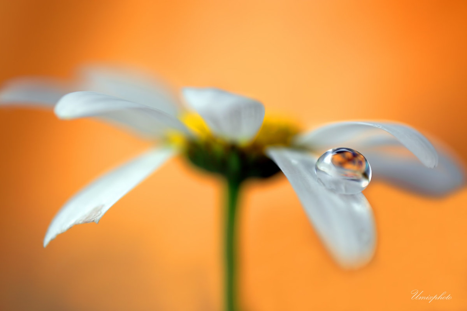 Drop I. by umix