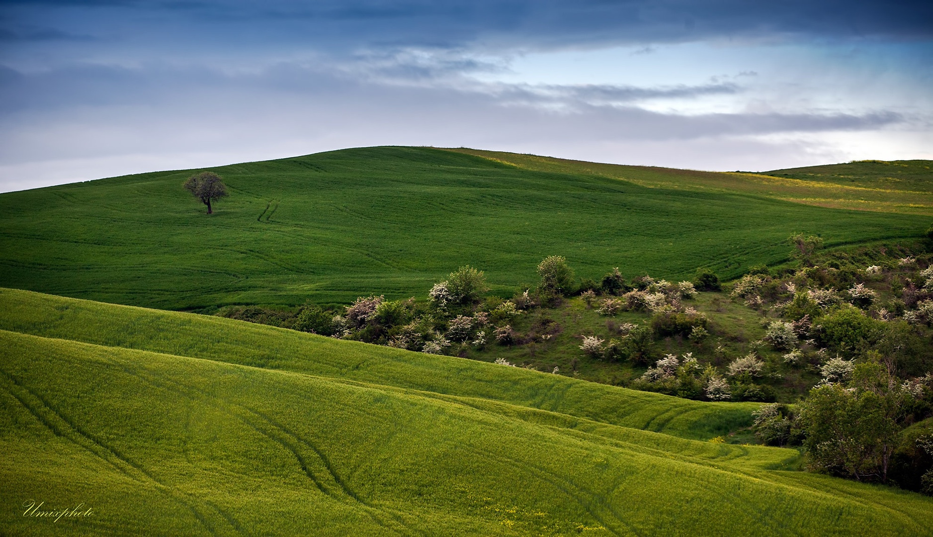 Valovanje V. by umix
