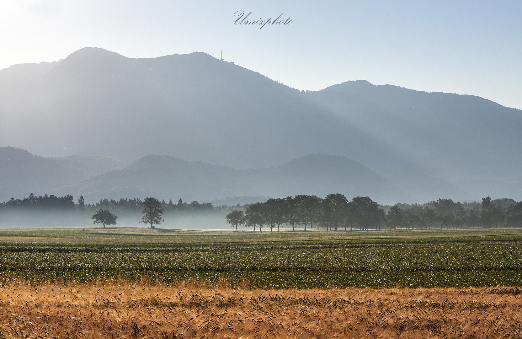 Jutro na polju by umix