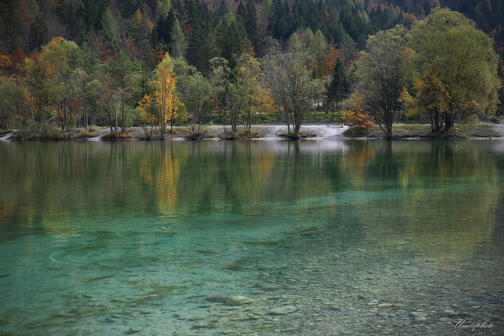 Popoldne na Jasni by umix