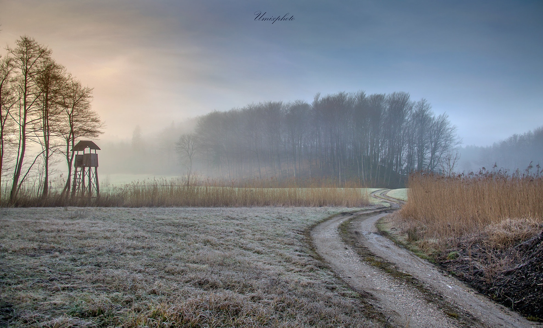Hladno zimsko jutro by umix