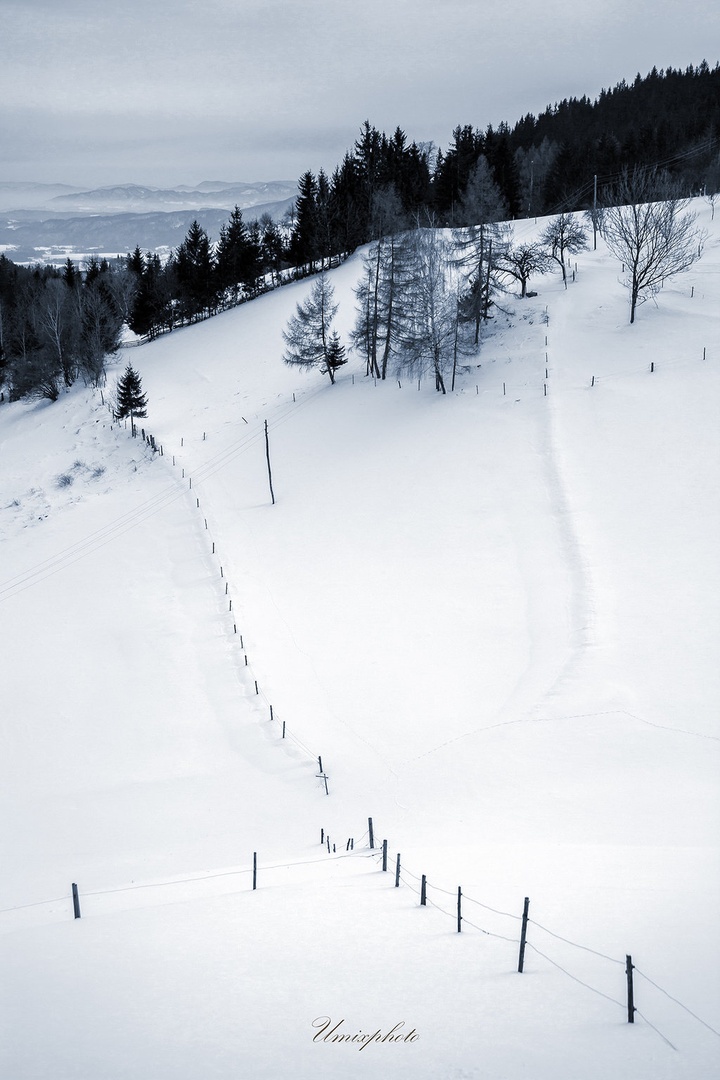 Winter Lines by umix