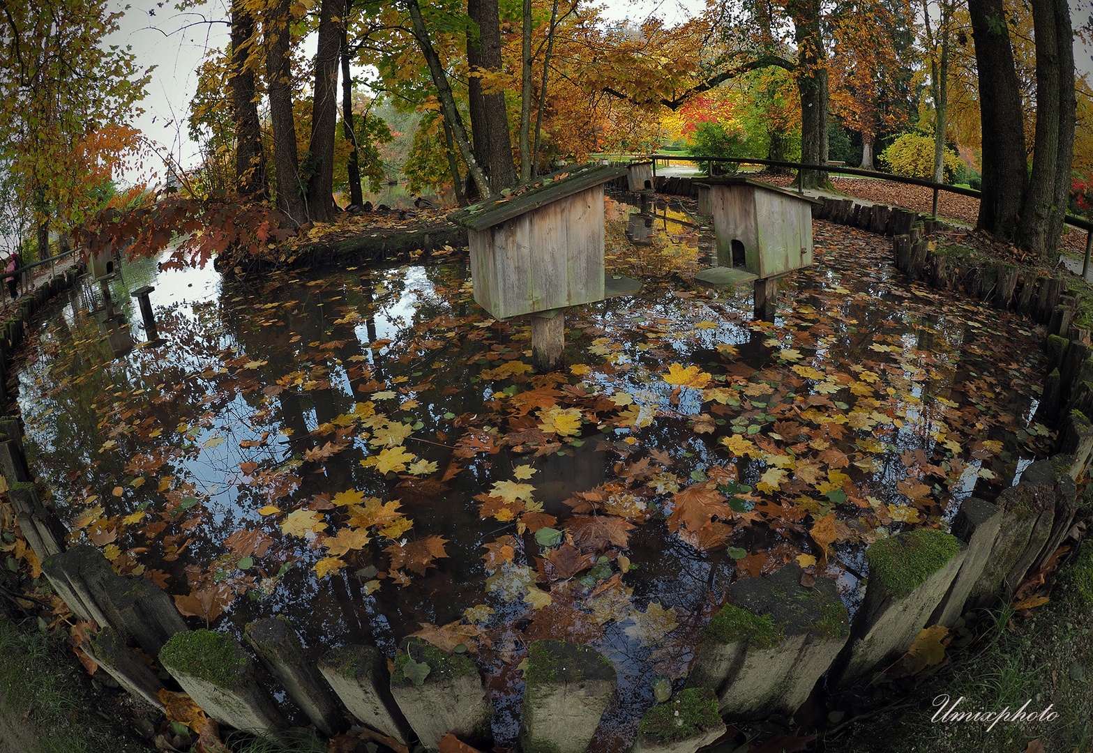 Jesen v Arboretumu by umix