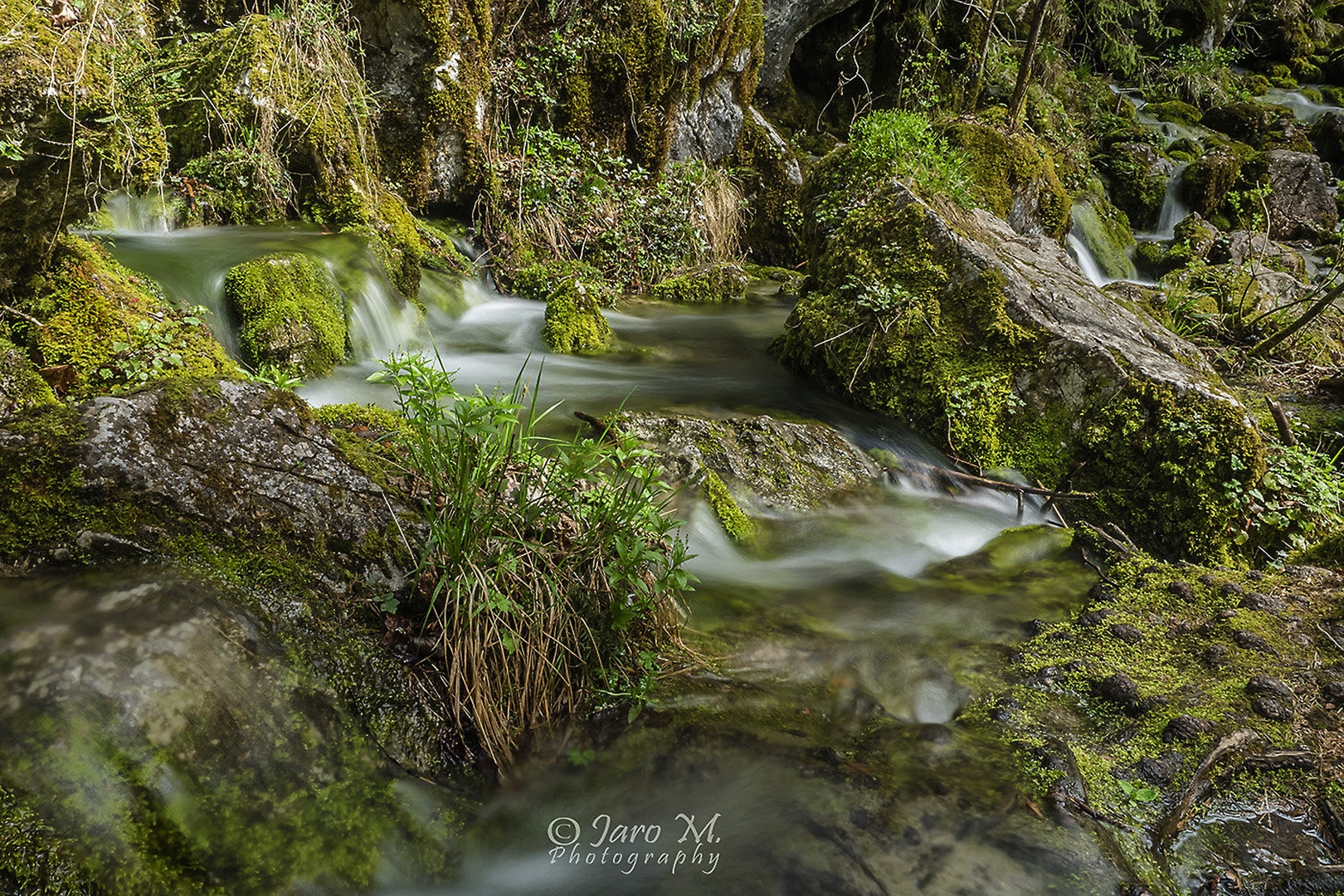 Na izviru Bohinjske Bistrice by umix