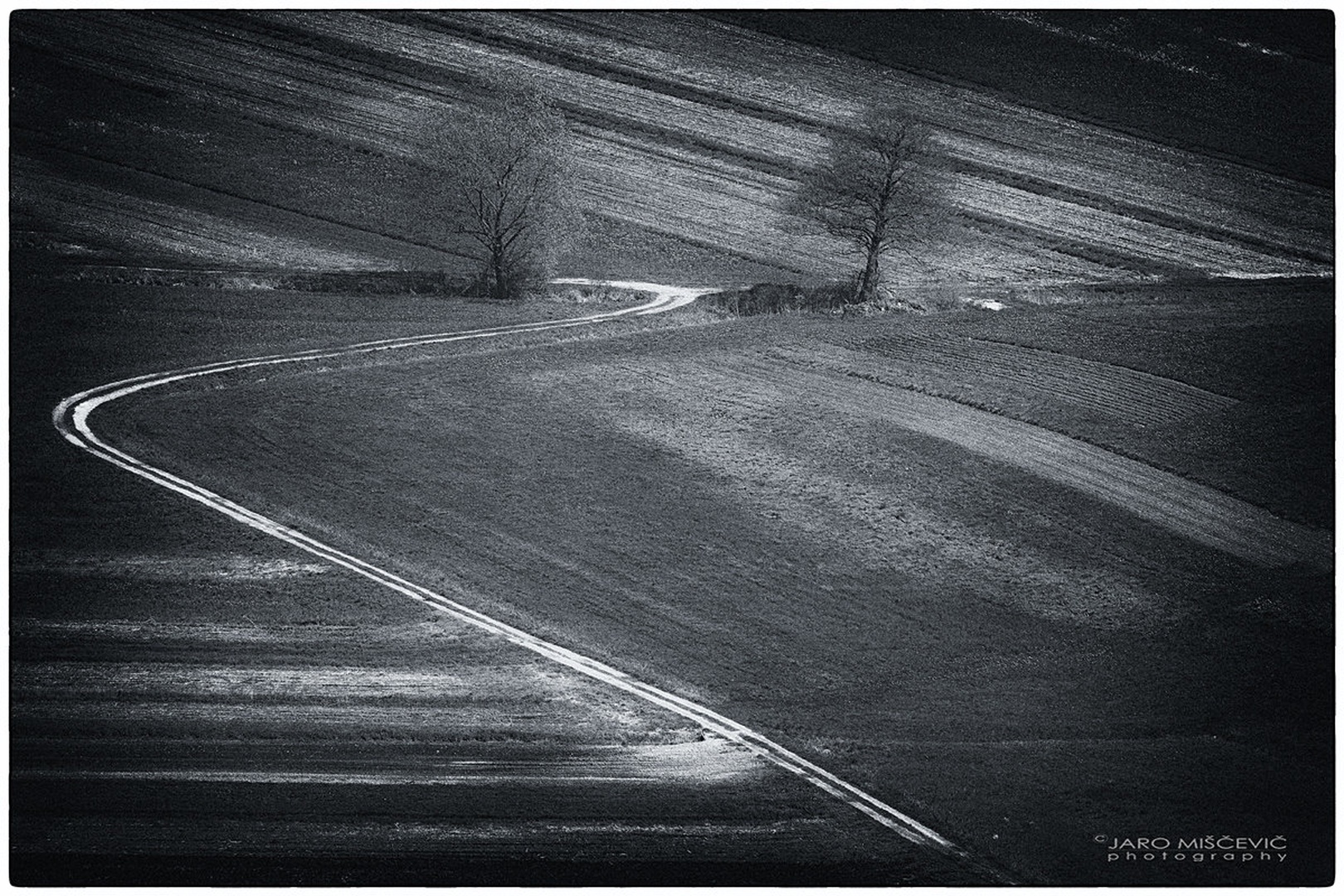 Barjanske linije by umix