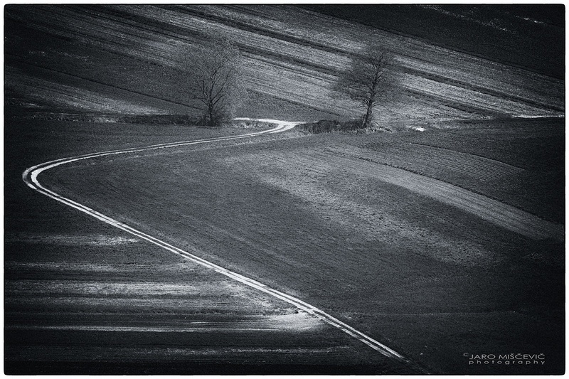 Barjanske linije by umix