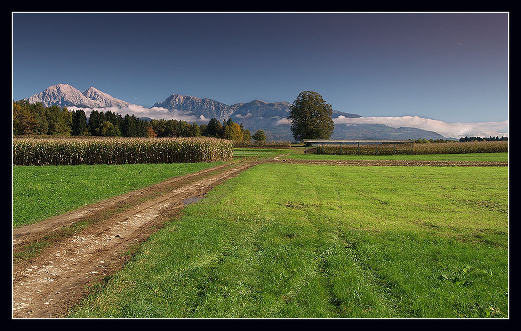 Polje by umix