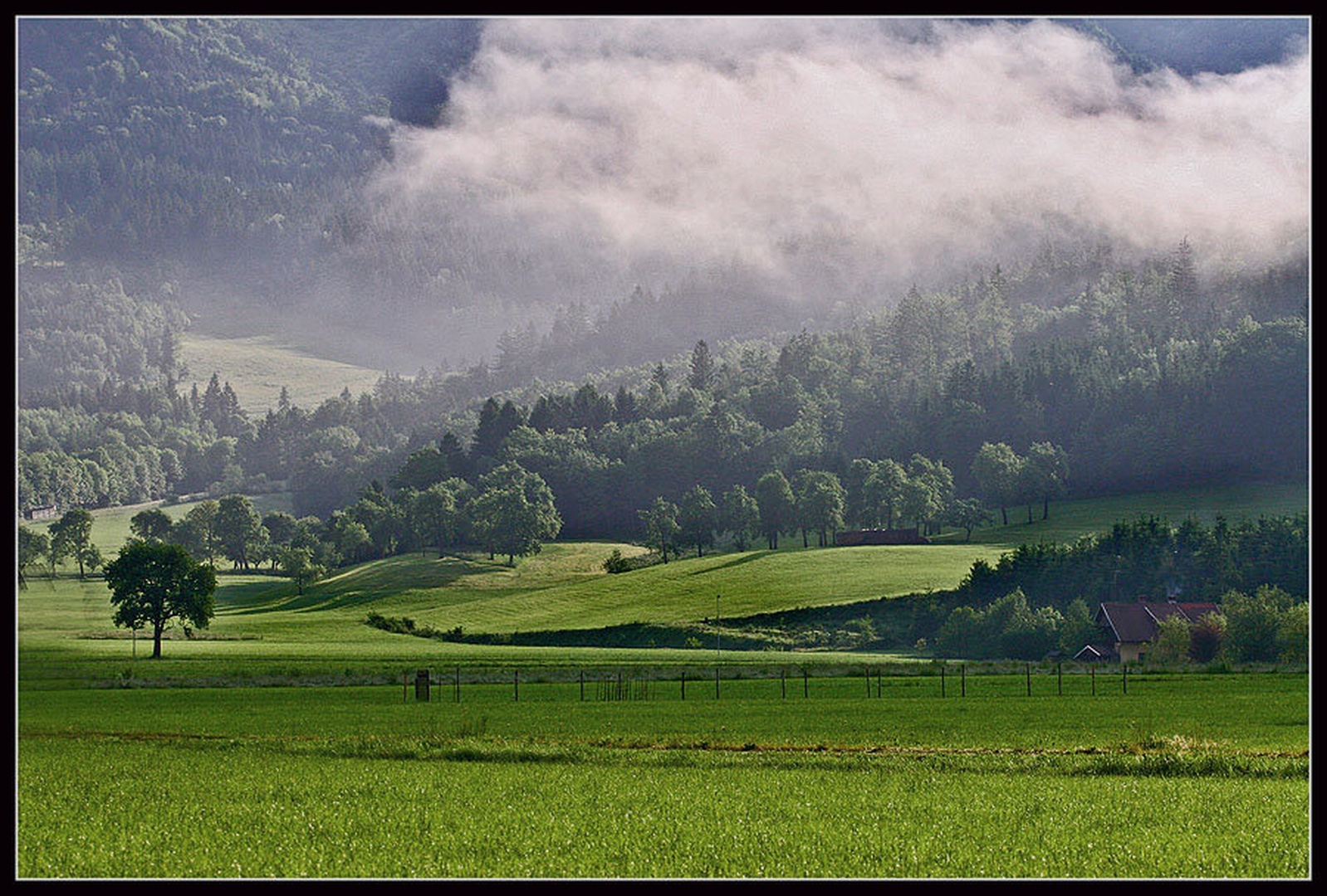 Jutranje meglice by umix