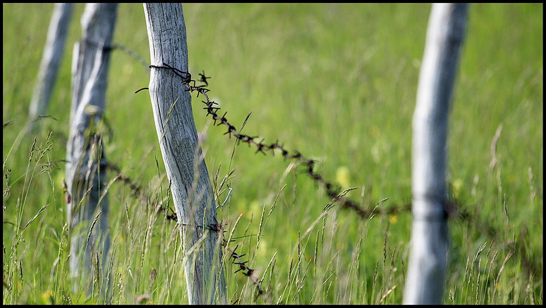 Connetction by umix