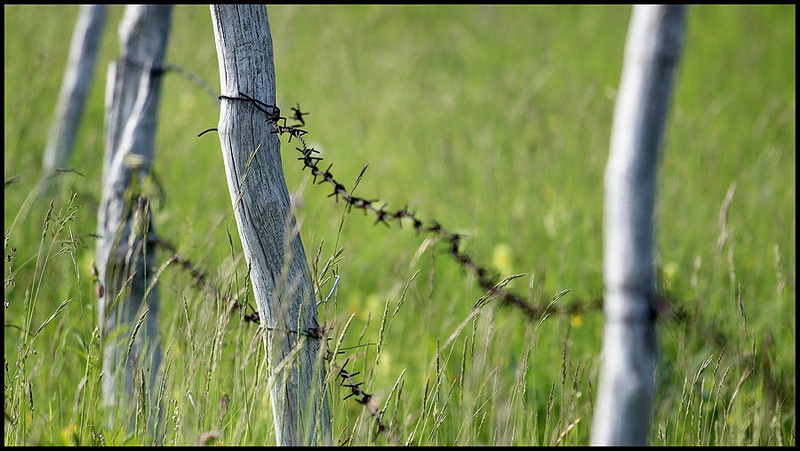 Connetction by umix