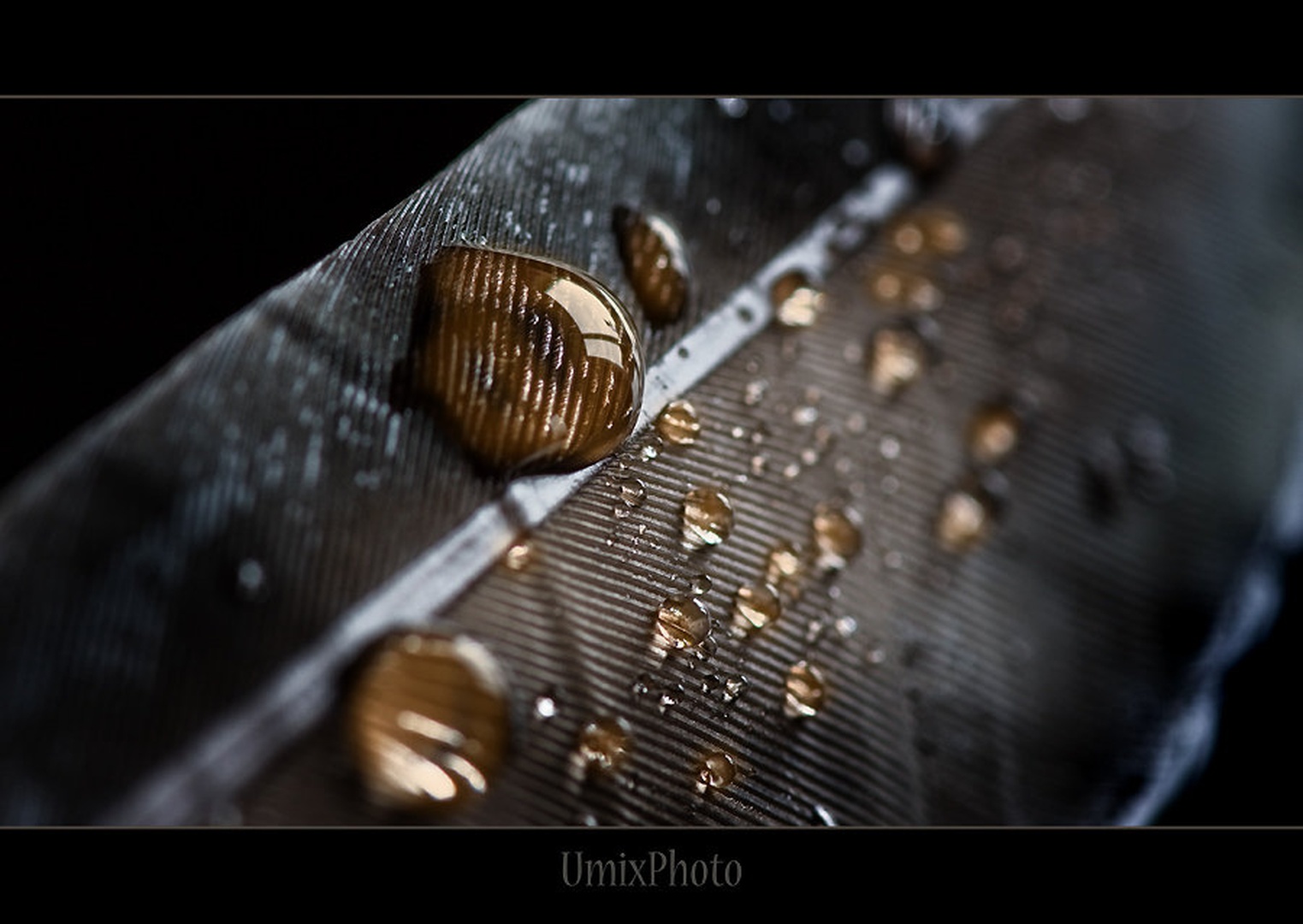 Diagonala by umix