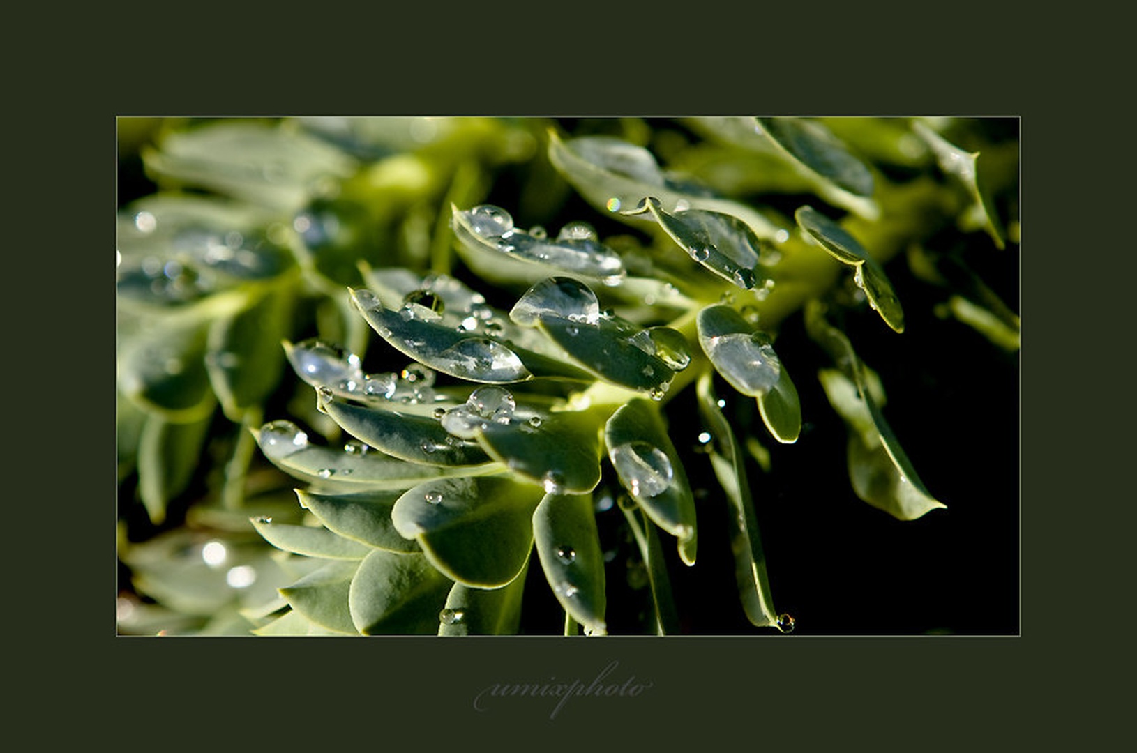 Green by umix