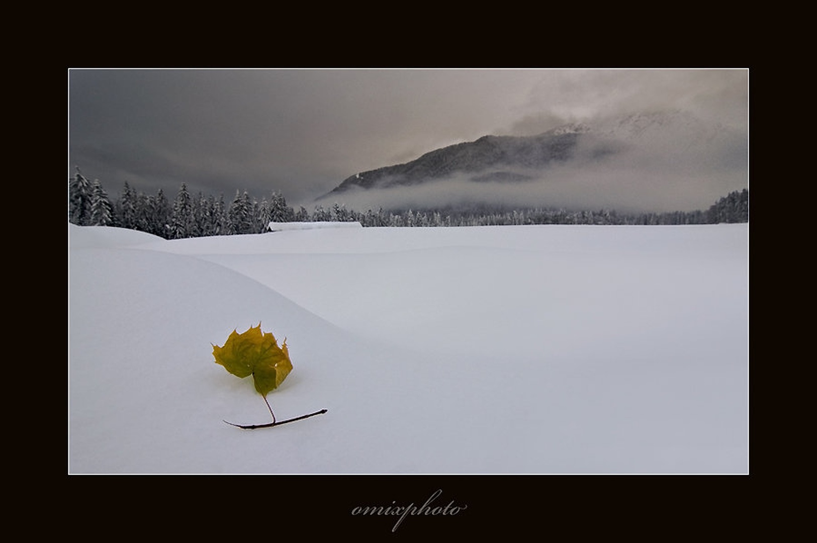 Ostanek jeseni by umix