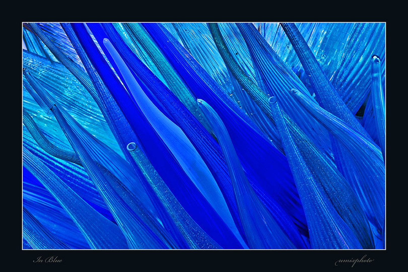Rapsody in blue by umix