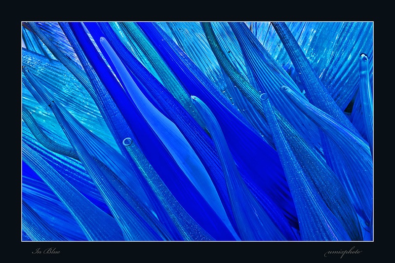 Rapsody in blue by umix