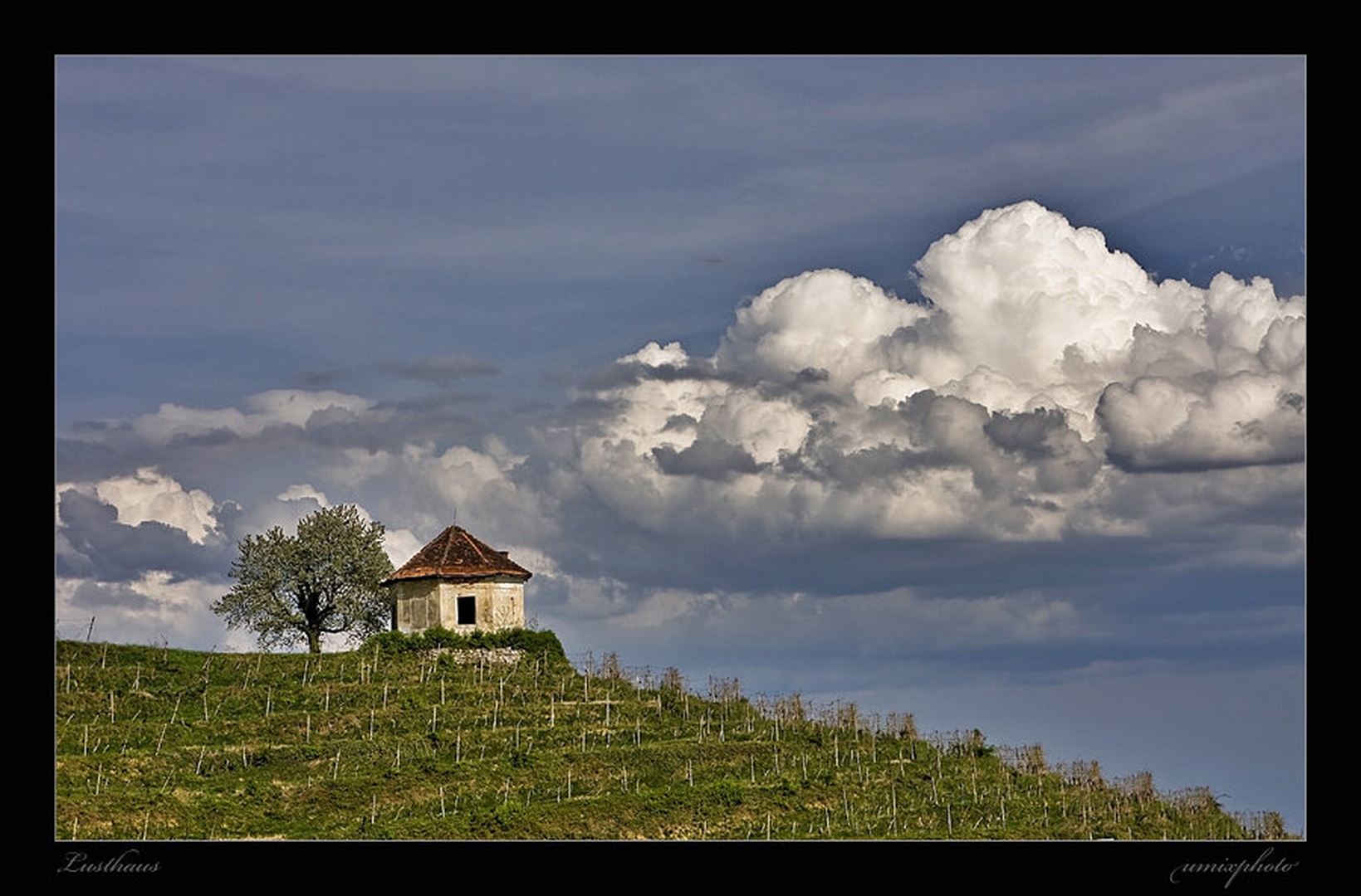 Lusthaus by umix