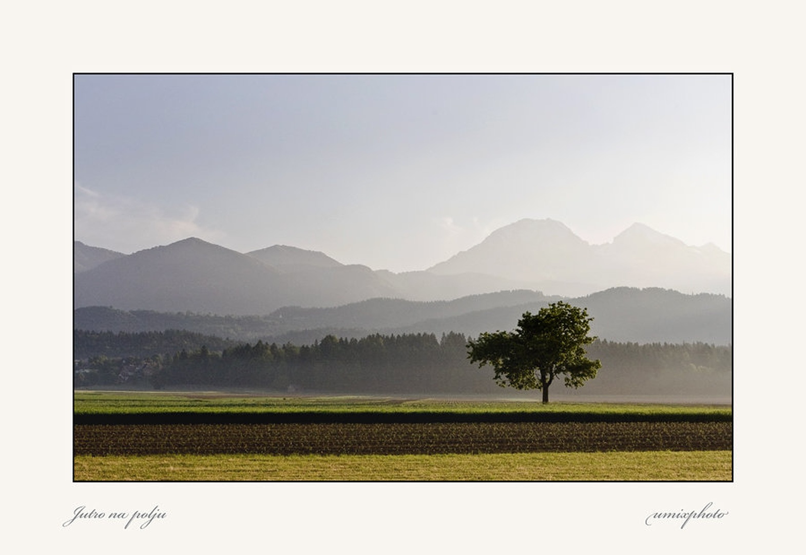 Jutro na polju by umix