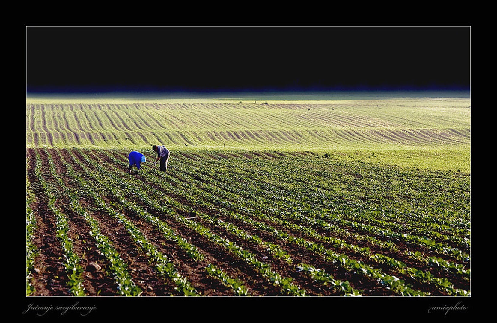 Jutranja telovadba by umix