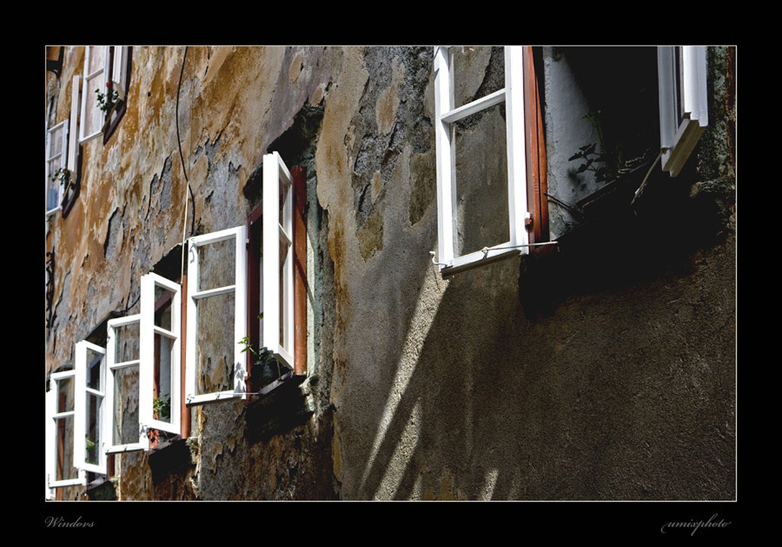 Windovs by umix