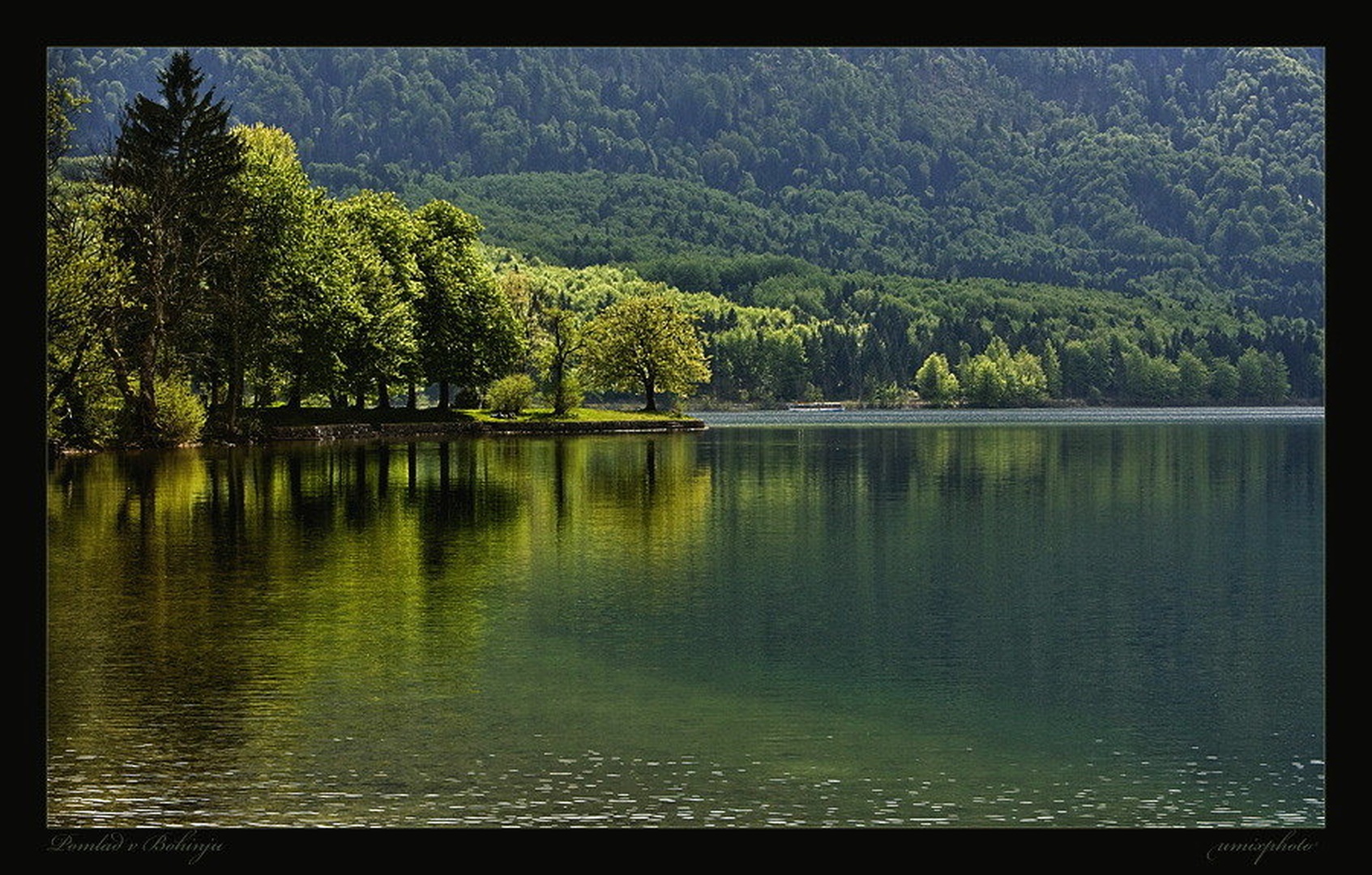 Pomlad v Bohinju by umix