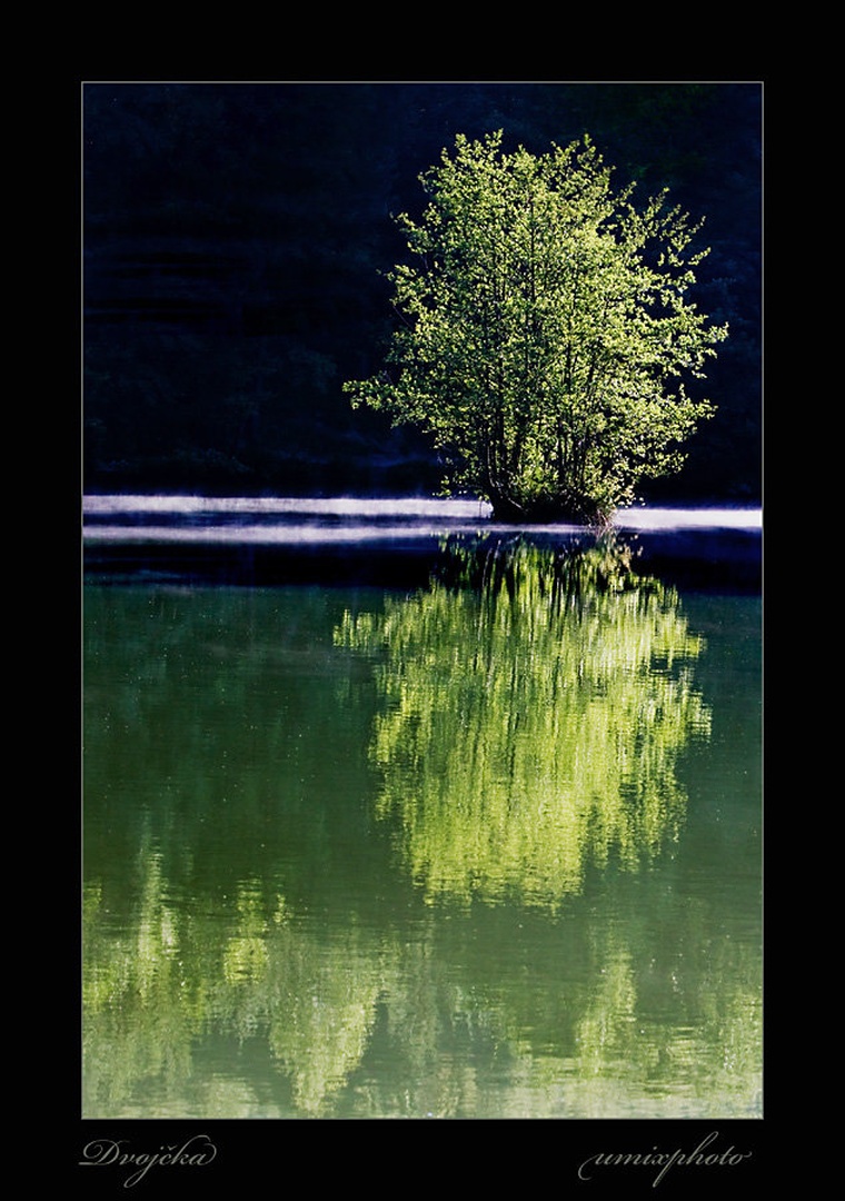 Dvojčka by umix