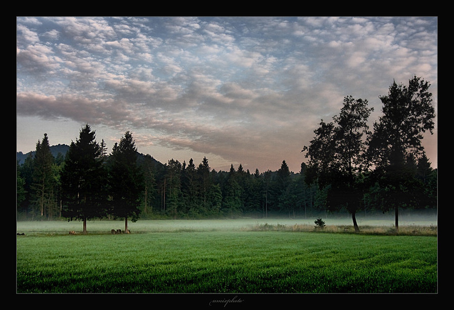 Jutro pri bogomolkah by umix