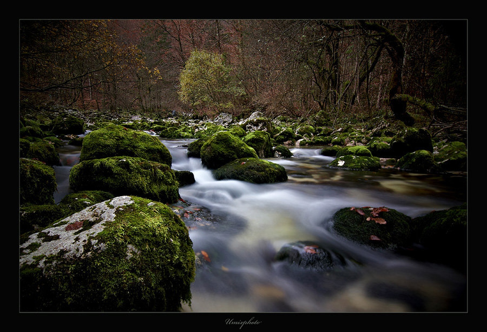 Jesen na Savici by umix