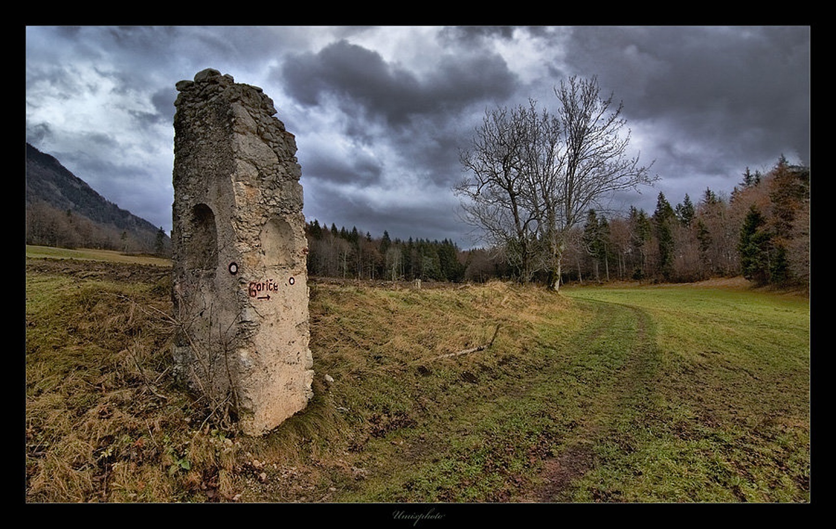 Pot v Goriče by umix