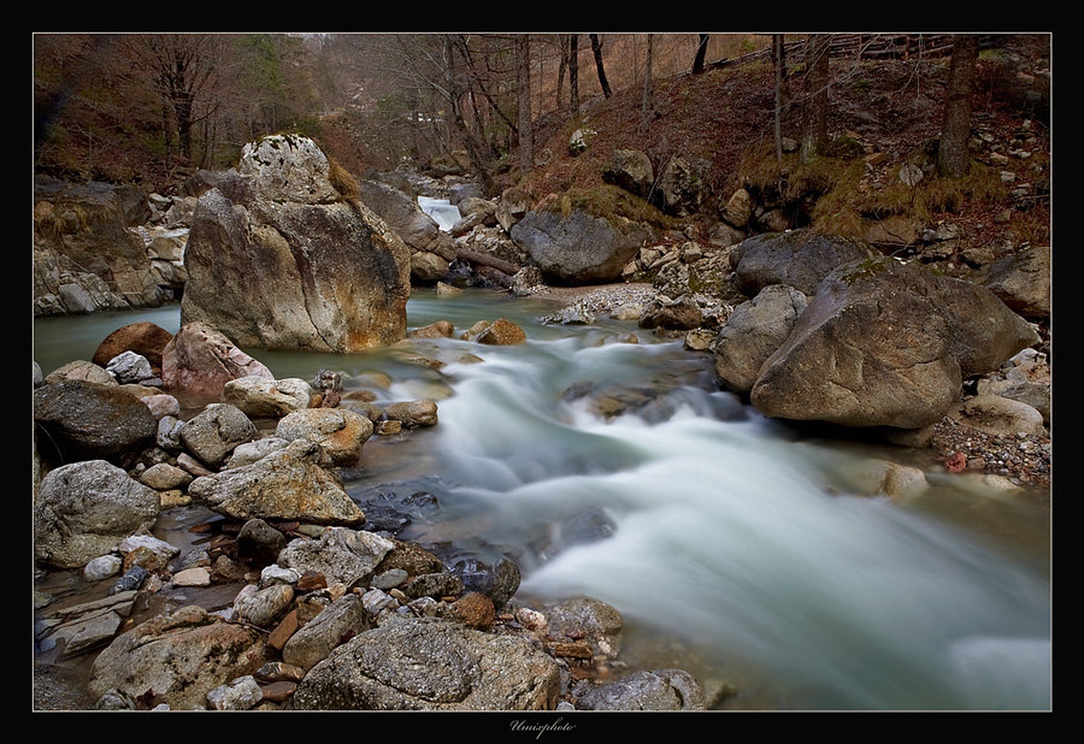 Bistrica by umix