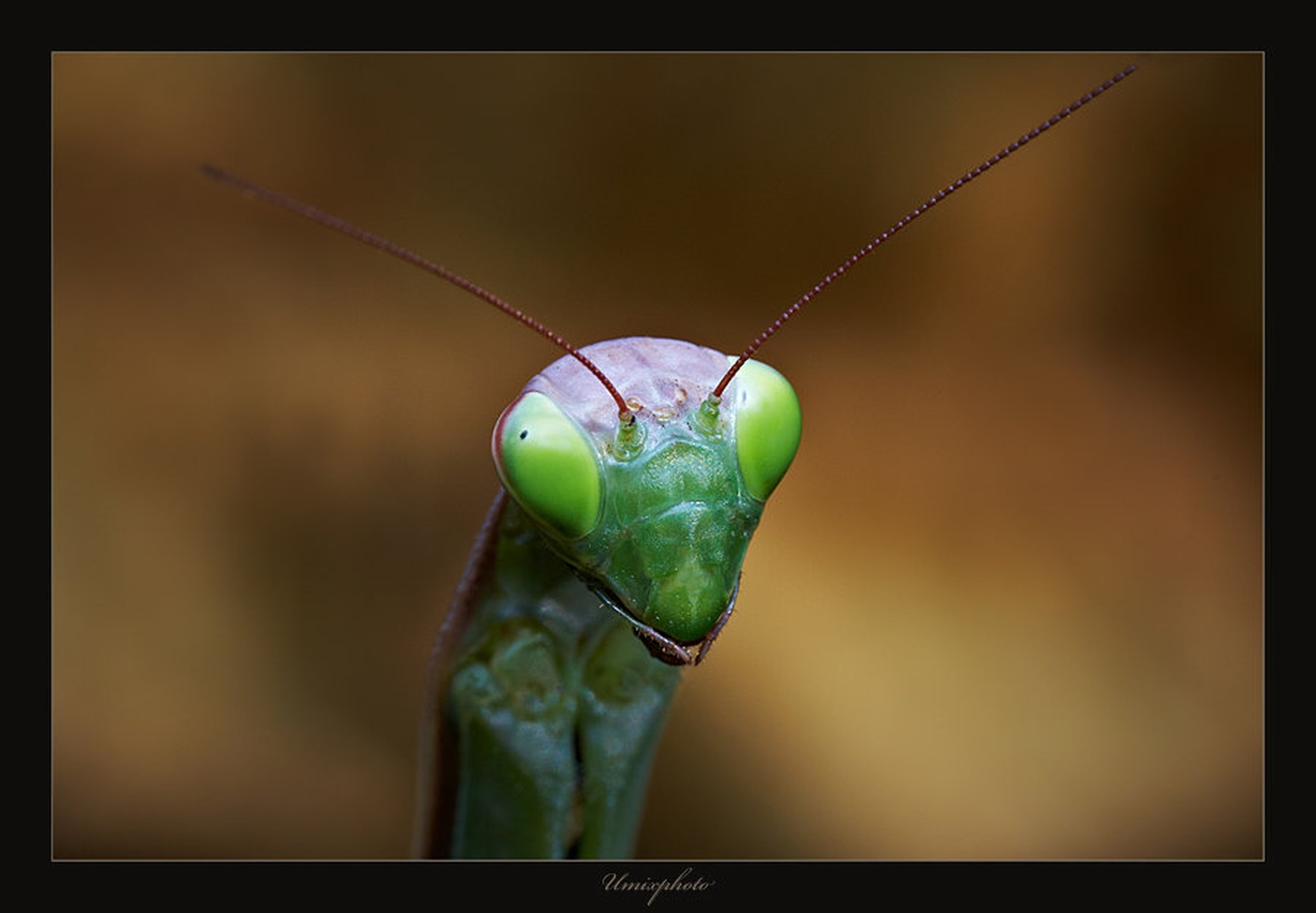 Pogled II by umix