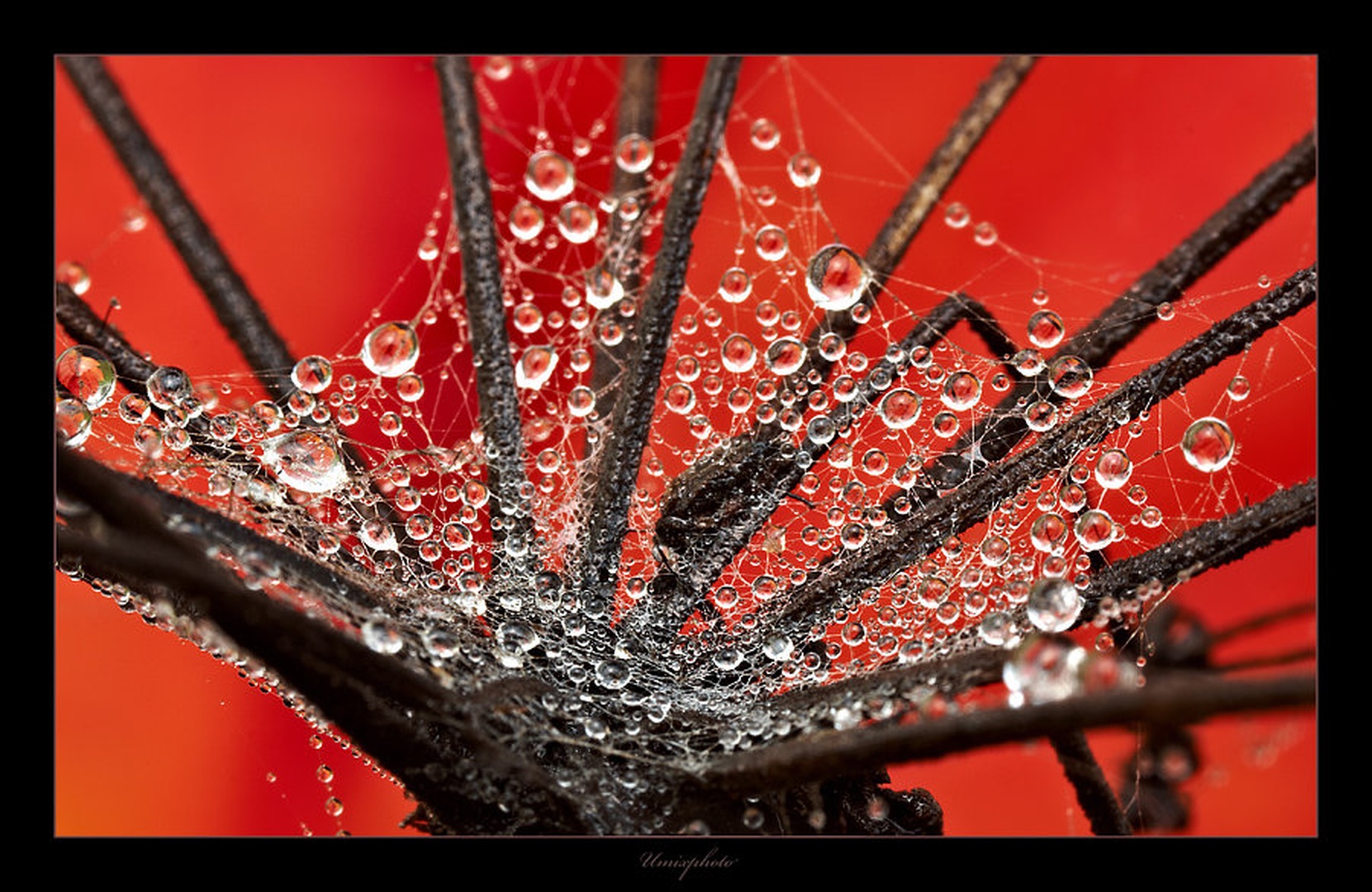 Drops by umix
