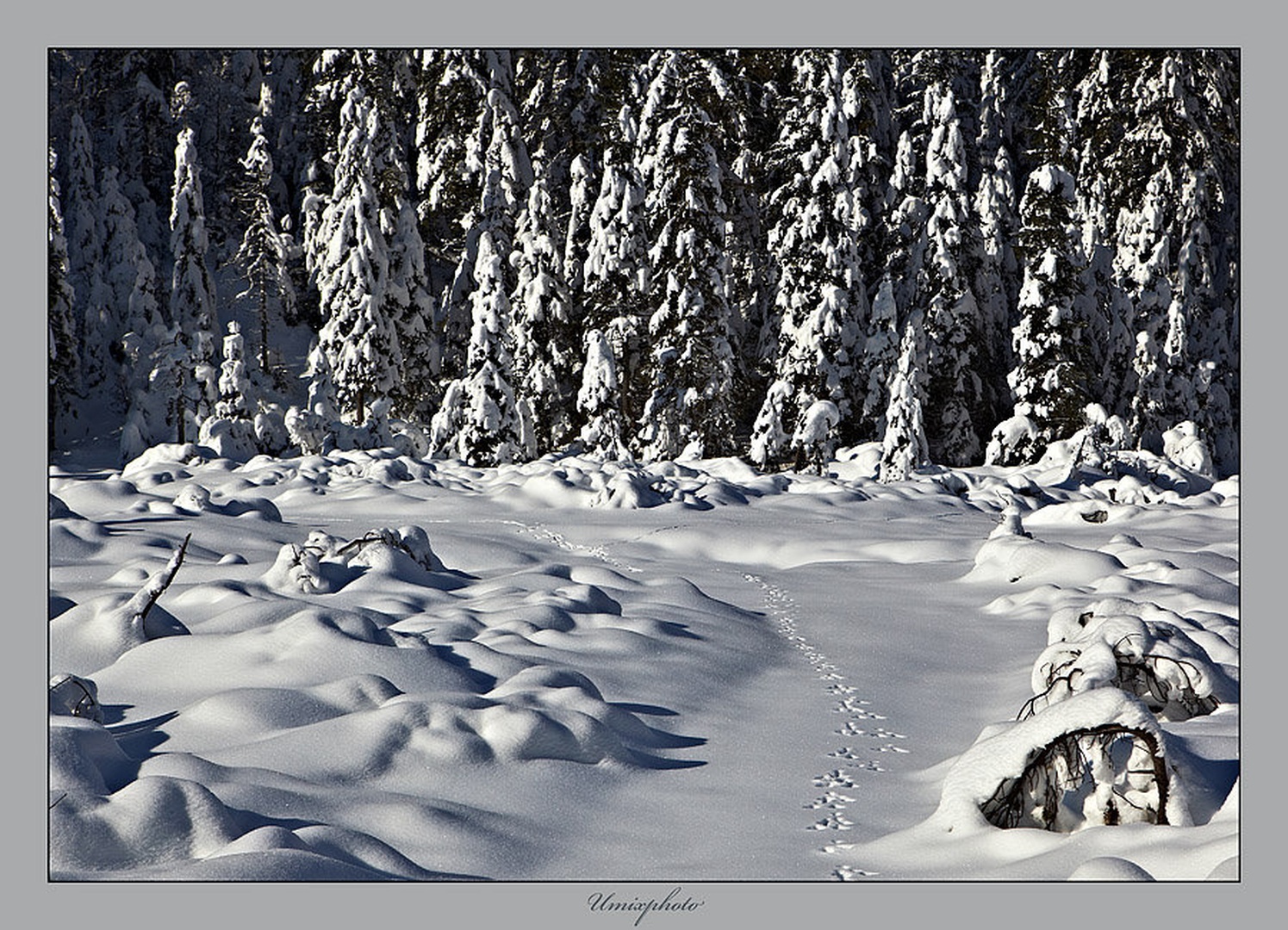 Skrivnostna pot by umix