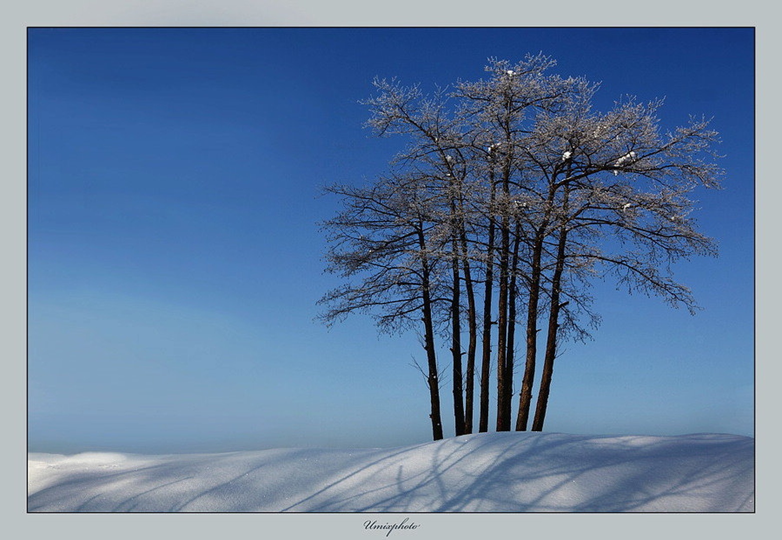 Osmerica II by umix