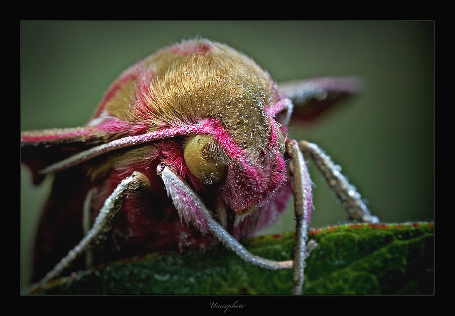 Pred jutranjim poletom by umix