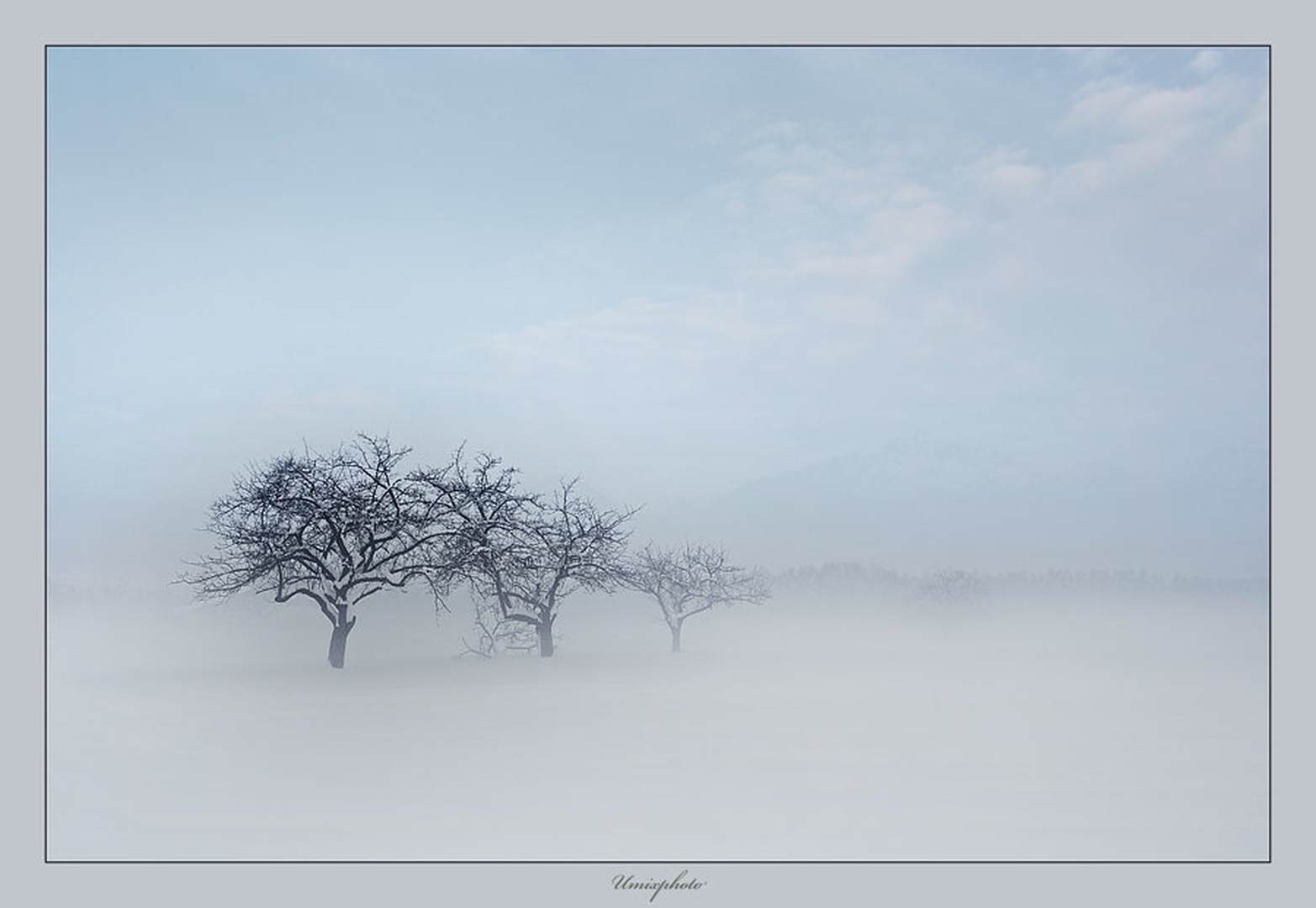 3 v vrsto by umix