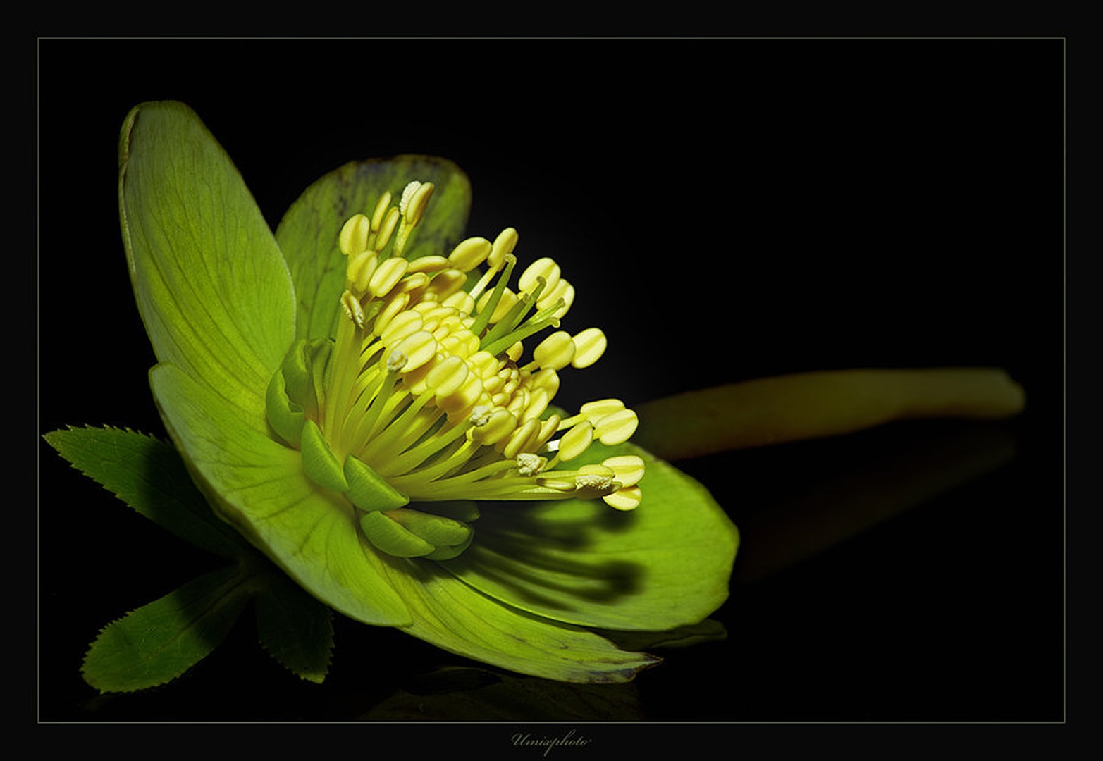 Greeeeeen by umix