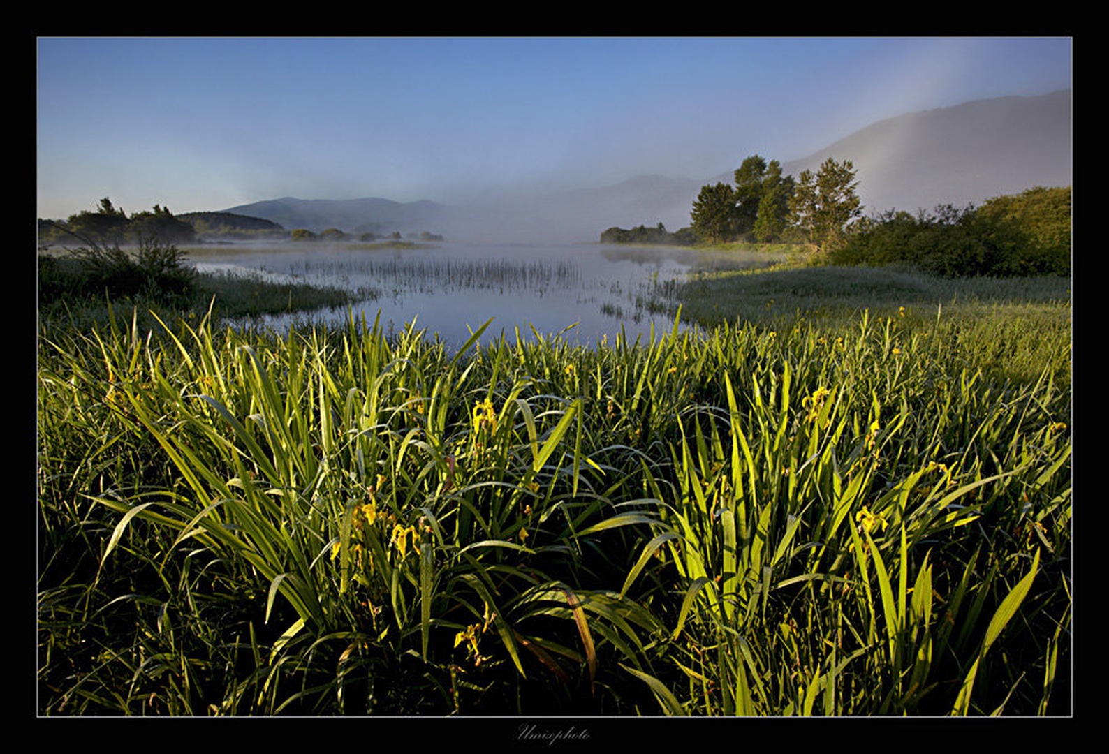 Jutro na C. j. by umix
