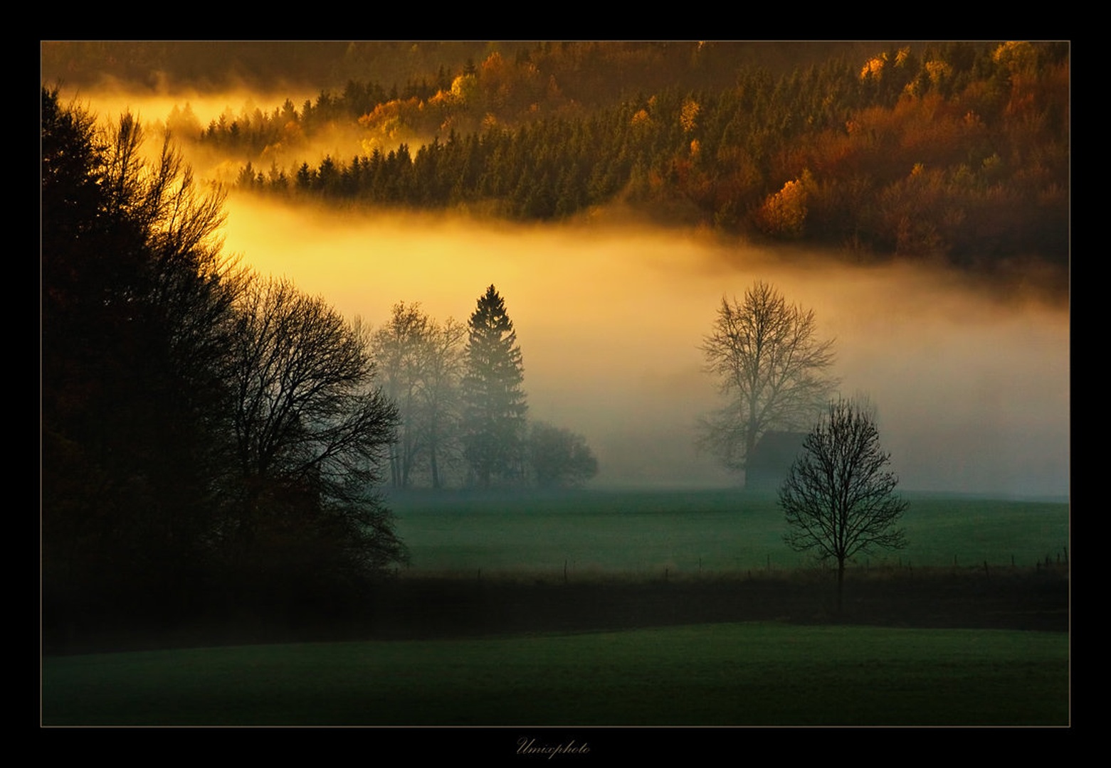 Jutro by umix
